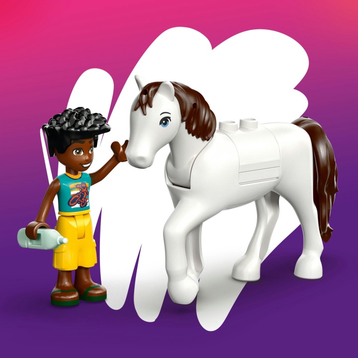 LEGO набори & BRICKS LEGO FRIENDS ANIMAL ветеринар CLINIC будівельний набір 42696 (вживаний) — фото 5