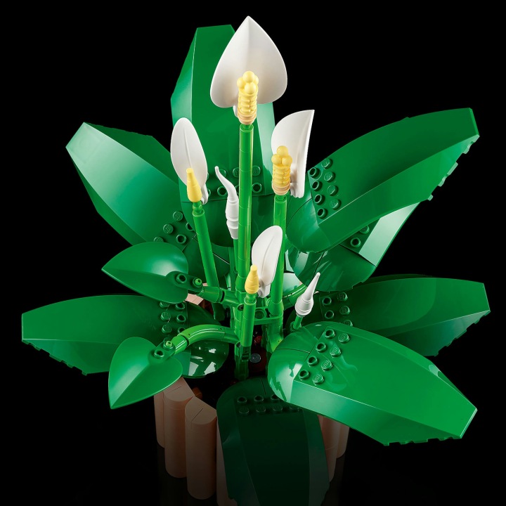 LEGO BOTANICALS 11504 Спатифілум — фото 2