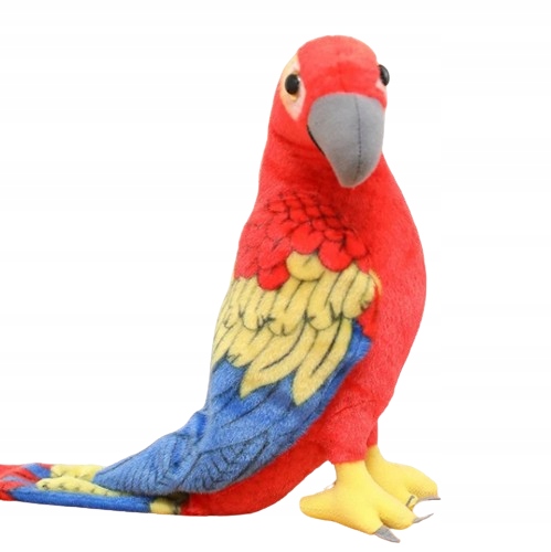 Maskotka realistyczna papuga pluszowa zabawka duża 50x25cm model 2