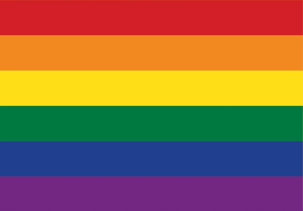 GRAFIKA Puzzle Pride Edition 1000 elementów
