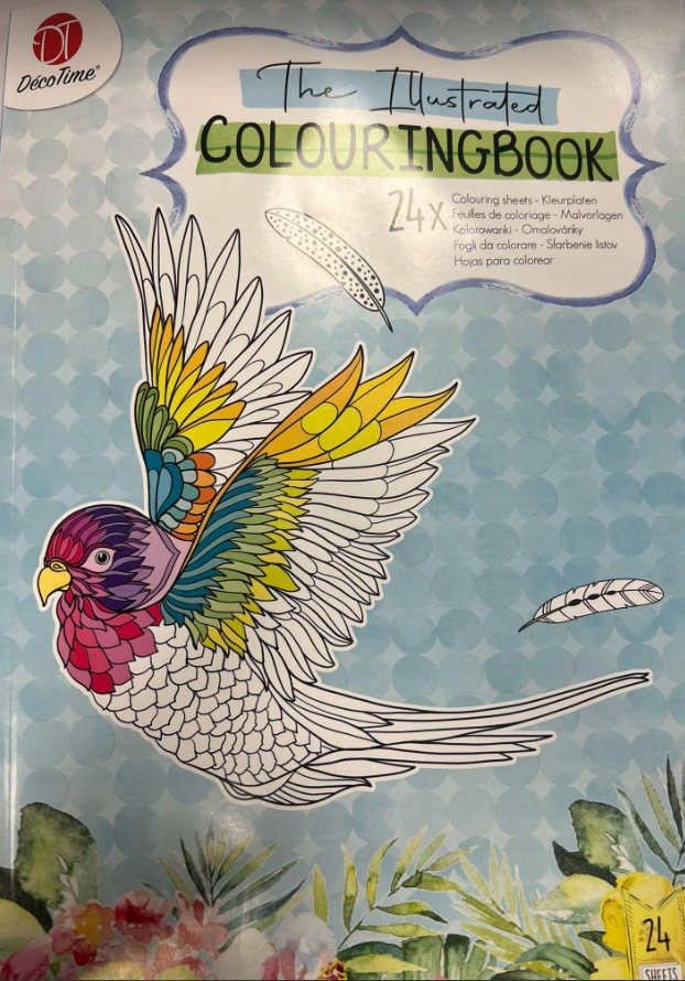 Kolorowanka THE ILUSTRATED COLORINGBOOK 24 obrazki