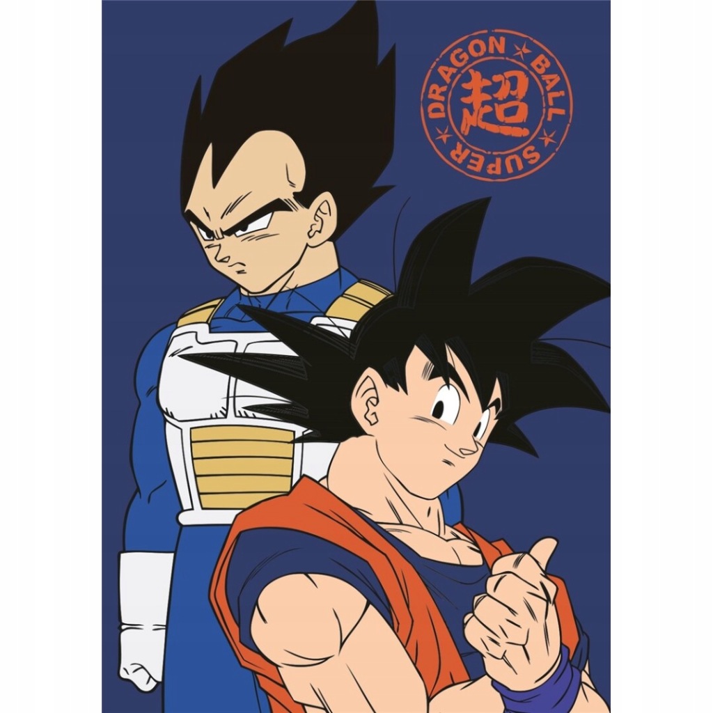 Poszewka filmowy, książkowy, komiksowy Dragon Ball Z / Manga / Anime 100 x 140 cm