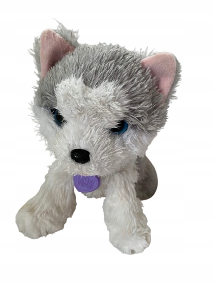 Interaktywny piesek HUSKY 17cm