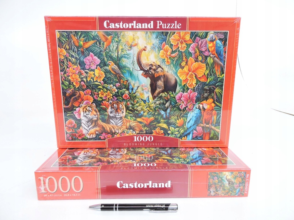 Puzzle Castorland 1000 elementów Puzzle 1000