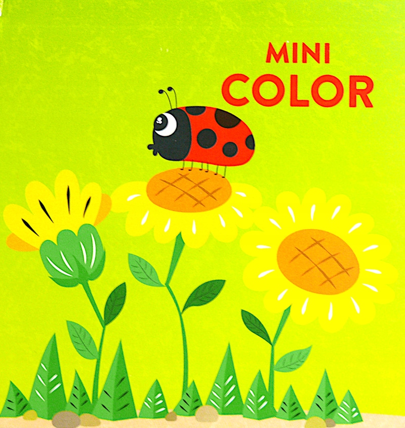 KOLOROWANKA mini malowanka 24 obrazki