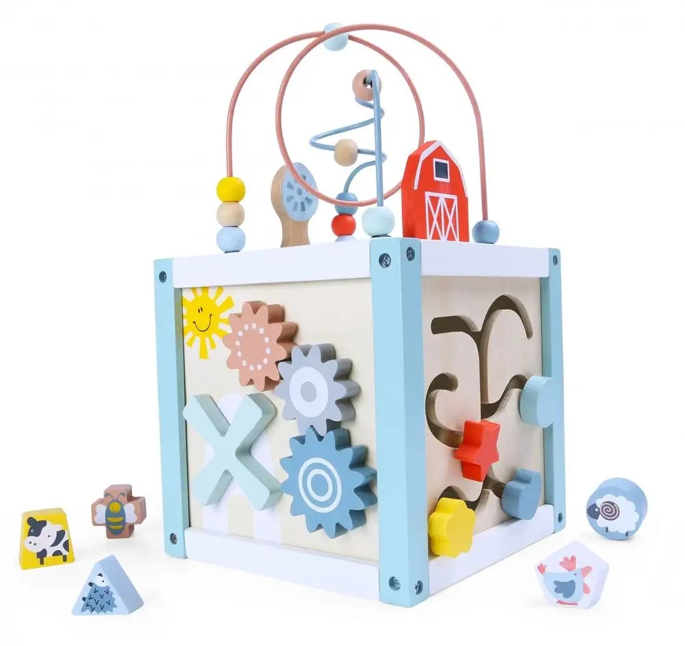 ECOTOYS Drewniana kostka edukacyjna sorter +klocki