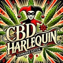 Zdjęcie oferty: HARLEQUIN CBD 10G Susz Konopny CBDA PREMIUM Full Spectrum Naturalny Weed