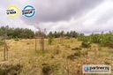Zdjęcie oferty: Działka, Kamień, Szemud, Wejherowski, 4976 m²