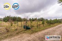Zdjęcie oferty: Działka, Kamień, Szemud, Wejherowski, 4976 m²