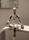Zdjęcie oferty: Wieloprzegubowy ruchomy robot Drukowany manekin 3D Misiek_3D_PL 13 Dummy