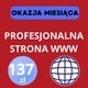Zdjęcie oferty: OKAZJA MIESIĄCA – Zdobądź Profesjonalną Stronę WWW za Jedynie 137 ZŁ! 