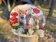 Zdjęcie oferty: Decoupage na hubie - sarny w makach