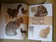 Zdjęcie oferty: ALBUM O KOTACH - KOT !