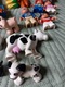 Zdjęcie oferty: Lego Duplo figurki gospodarstwo zwierzęta farma rodzina rolnictwo 
