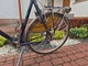 Zdjęcie oferty: Rower Gazelle Riacho