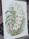Zdjęcie oferty: Storczyki - Orchidee  reprint XIX w. grafik do aranżacji wnętrza