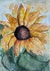 Zdjęcie oferty: Obraz ręcznie malowany akwarela Słonecznik A4 nowy 