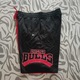 Zdjęcie oferty: Spodenki New Era NBA Graphic Half Short Chicago Bulls r. XL 60502603
