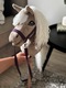 Zdjęcie oferty: Hobby Horse A4 - izabelowaty, nowy