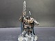 Zdjęcie oferty: Warhammer Chaos Lord of Darknes stare modele unikaty