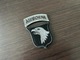 Zdjęcie oferty: Naszywka - US Army - 101st Airborne Division "Screaming Eagles" (ACU)