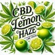 Zdjęcie oferty: LEMON HAZE 20G Susz Konopny CBD Trim Trym PREMIUM Full Spectrum Naturalny