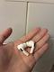 Zdjęcie oferty: Słuchawki Apple AirPods Pro 2 ANC Lightning