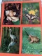 Zdjęcie oferty: D4707-D4718. POCZTÓWKI - „TAJEMNICE PUSZCZY - Fauna” - 12 szt. 