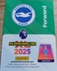 Zdjęcie oferty: Panini Adrenalyn XL Premier League 2025 #96 Julio Enciso