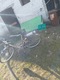 Zdjęcie oferty: Rower gazzela używany 