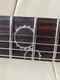 Zdjęcie oferty: Gitara Schecter Apocalypse C-1 Limited Edition 2008