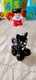 Zdjęcie oferty: Lego Duplo Pociąg cyfry 10847