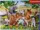 Zdjęcie oferty: Puzzle NA FARMIE  On the Farm, 100 sztuk, dla dziecka 6+