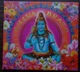 Zdjęcie oferty: Shiva Beats_=CD=_:::DOWNTEMPO:::