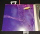 Zdjęcie oferty: Recoil ( Alan Wilder / Depeche Mode ) Jezebel CD digipak 2000 UK