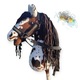 Zdjęcie oferty: Hobby Horse Konik na kijku zestaw - Brenda + METRYCZKA i MARCHEWKA 