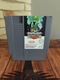Zdjęcie oferty: Bionic Commando Nintendo NES 