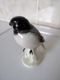 Zdjęcie oferty: Wagner & Apel porcelanowa Figura Ptaka GIL 1972r 