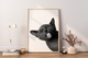 Zdjęcie oferty: Kot "Angry Black Cat vol.10" PLAKAT A3 Vintage, Cat - trzeci plakat GRATIS
