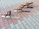 Zdjęcie oferty: Pila STIHL MS 025 MS 250 i STIHL 028 av electronic pilarka ALU KARTERY