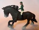 Zdjęcie oferty: Koń SCHLEICH z jeźdźcem WYPRZEDAŻ SZAFY szybka wysyłka! 