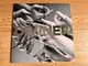 Zdjęcie oferty: HAYDEN THORPE Diviner LP NM [WILD BEASTS]
