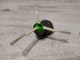 Zdjęcie oferty: Moduł szczotki bocznej Irobot Roomba e5 z Nową szczotką