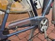 Zdjęcie oferty: Rower Gazelle Riacho