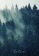 Zdjęcie oferty: Plakat B2 50x70 200 g las drzewa mgła góry FC5