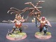 Zdjęcie oferty: Warhammer Age of sigmar old world chaos Khorne blood reavers