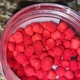 Zdjęcie oferty: Bounty killer bloodworm