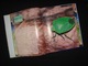 Zdjęcie oferty: Album Bezkręgowce Stawonogi Owady Zwierzęta / oferta z foto'opisem (2)