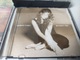 Zdjęcie oferty: Mozzart, Bach, Chopin                        