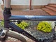 Zdjęcie oferty: Rower Gazelle Riacho